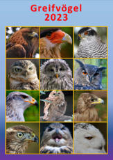 Greifvögel_2023_1.pdf